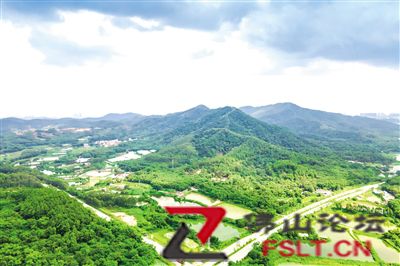 三水区南山镇党委书记钱静瑜： 多彩南山打造高品质慢生活示范基地