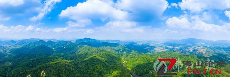 高明区公布第三次全国国土调查主要数据 林地占比超五成