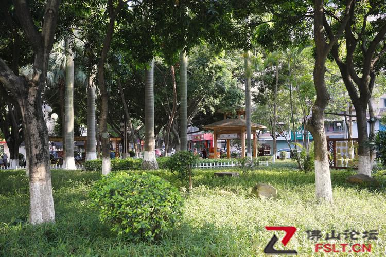 佛山市高明区今年将提升改造5个社区公园