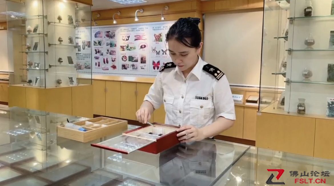 李慧倩：做好每一件小事，不断积累成为全能“国门卫士”