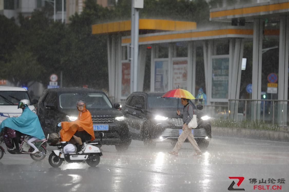 佛山市全面落细落实强降雨防御措施