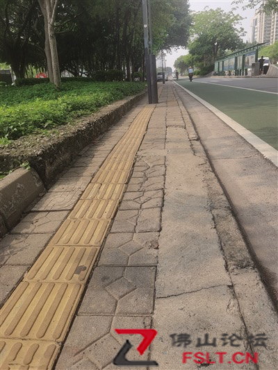 禅城区市政设施养护品质提升百日攻坚第二阶段收官