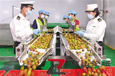 以海关速度“锁”住食品新鲜味