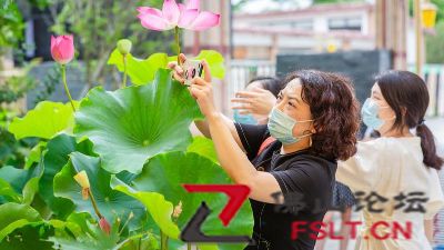 三水云东海荷文化艺术周开幕：游湖听曲 云海荷香