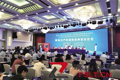 年保费总额全国地级市第二，佛山保险业如何更上层楼？