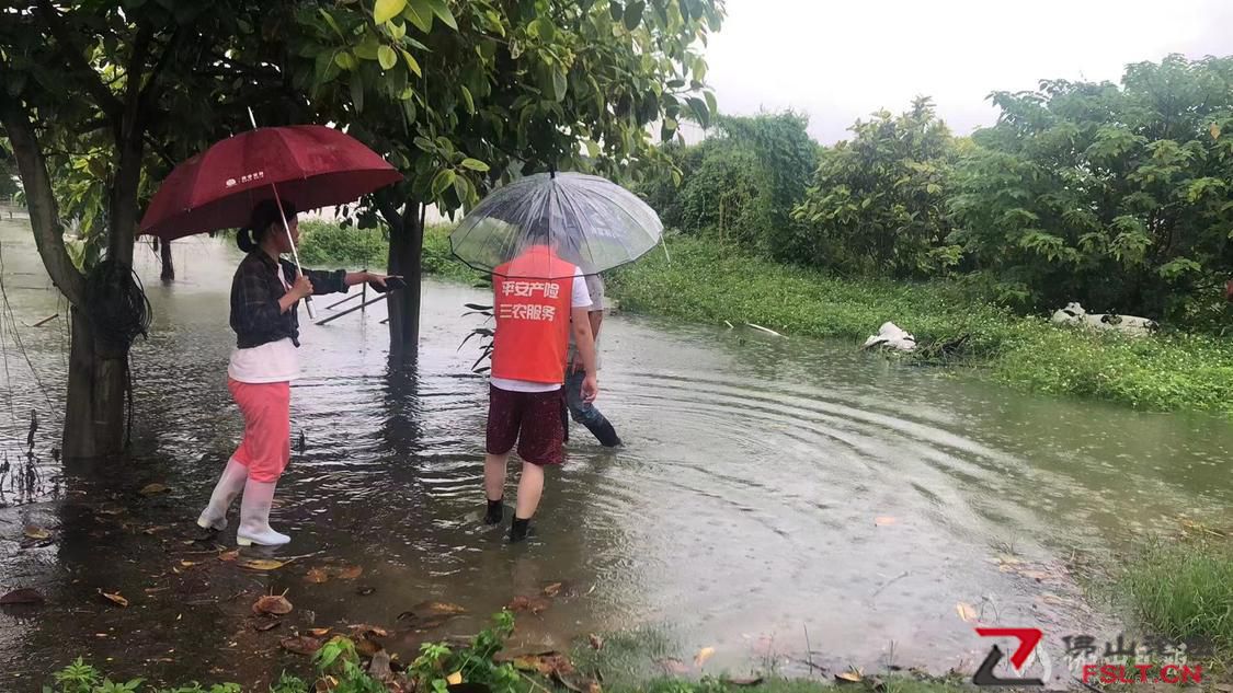 佛山：出险不到24小时就收到了赔款
