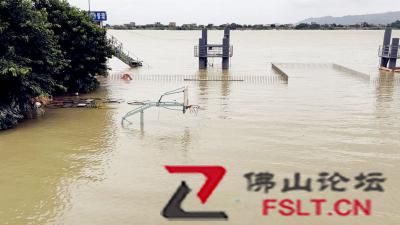 江河水位复涨 佛山发布洪水黄色预警信号