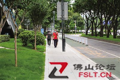禅城市政设施养护品质提升百日攻坚行动落下帷幕