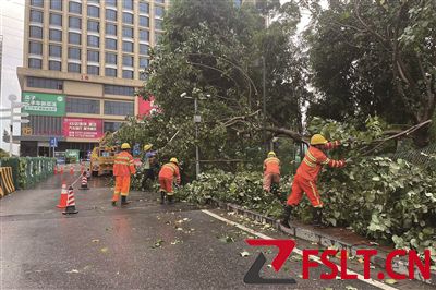 佛山各区用心守护 温暖你我