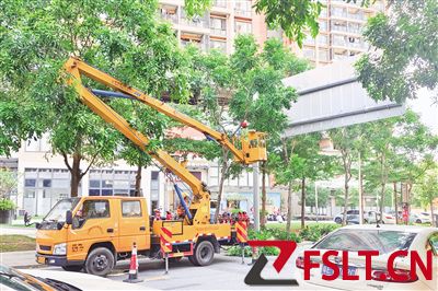 石湾镇街道加强城市绿化管理
