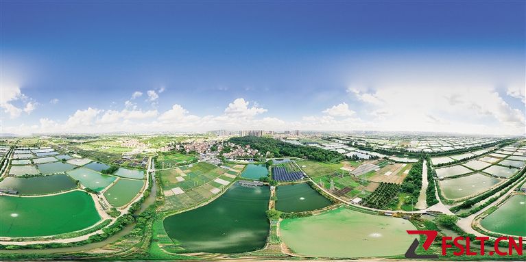 南海区探索“三券”制度推动全域土地综合整治