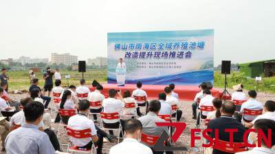 南海区全域养殖池塘改造提升现场推进会举行