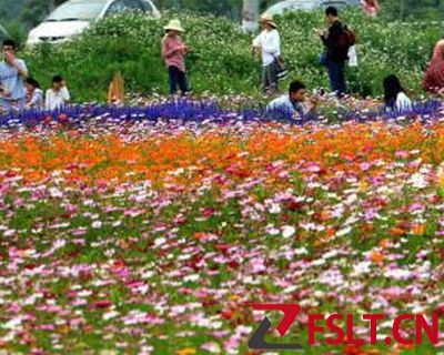 丹灶翰林湖都市型生态农业园