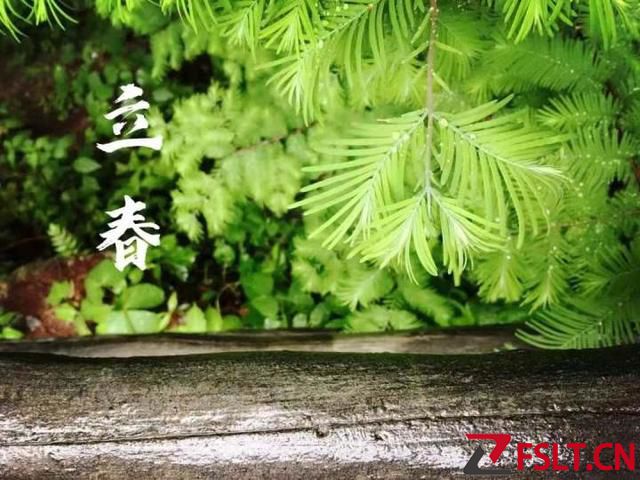 立春，“咬春”以迎春，你知道要“咬”什么吗？