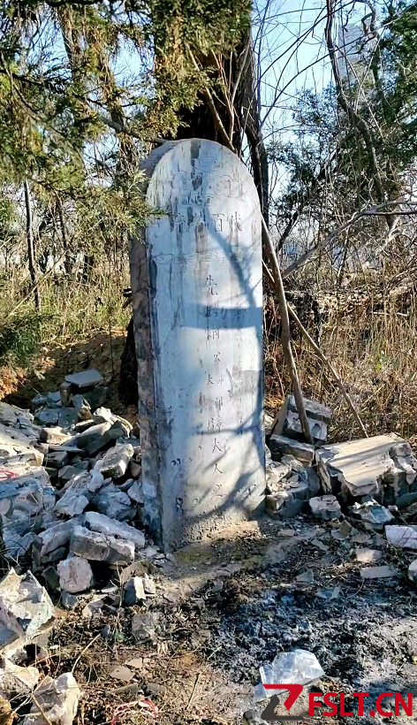 百年祖坟一夜被掘12位先祖尸骨无存 警方称按毁墓立案正调查