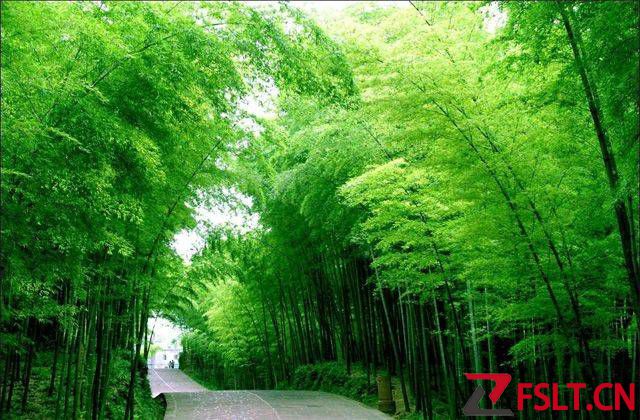 西岸森林生态园风景区