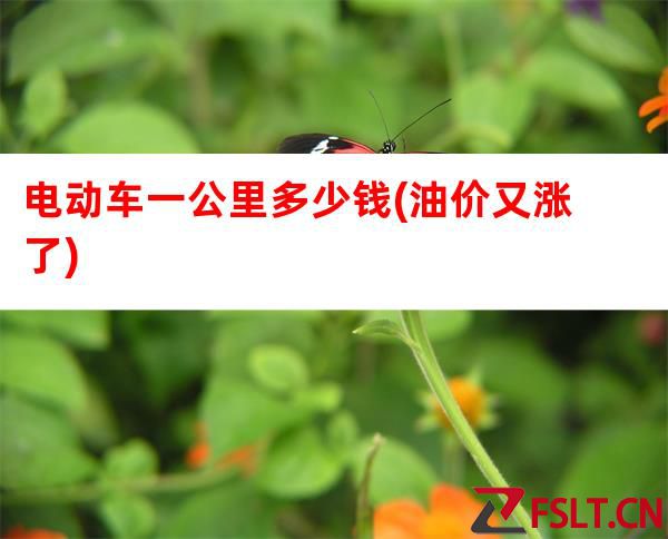 电动车一公里充电需要多少钱？