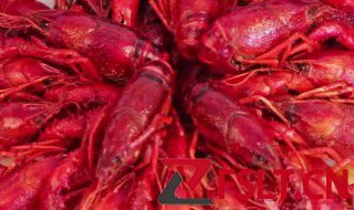 龙虾的腌制方法 龙虾怎么腌制