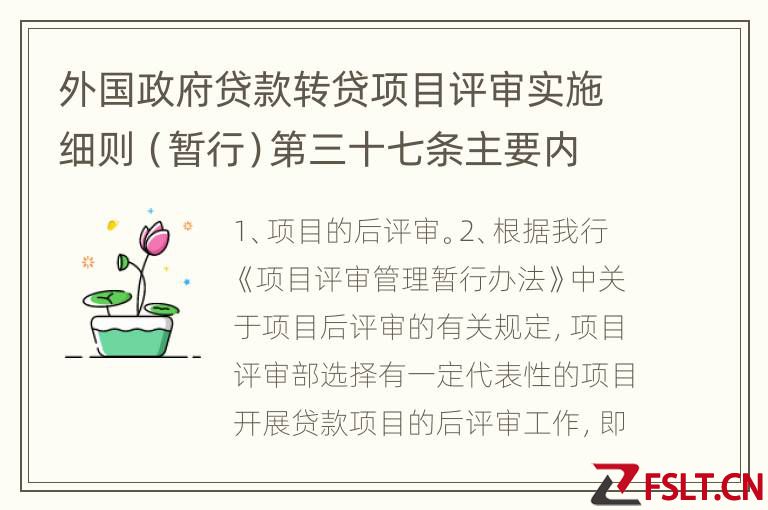 外国政府贷款转贷项目评审实施细则（暂行）第三十七条主要内容有哪些