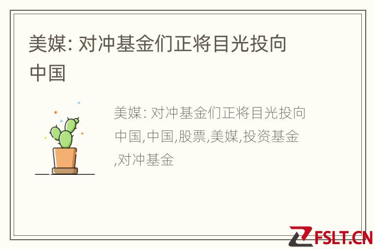 美媒：对冲基金们正将目光投向中国