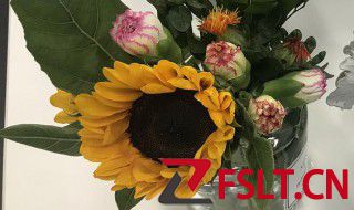 老式花束插花泥教程 老式的花束插花泥教程