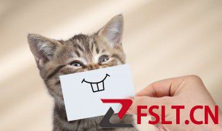 微信拍一拍好玩的文案 微信拍一拍好玩的文案精选