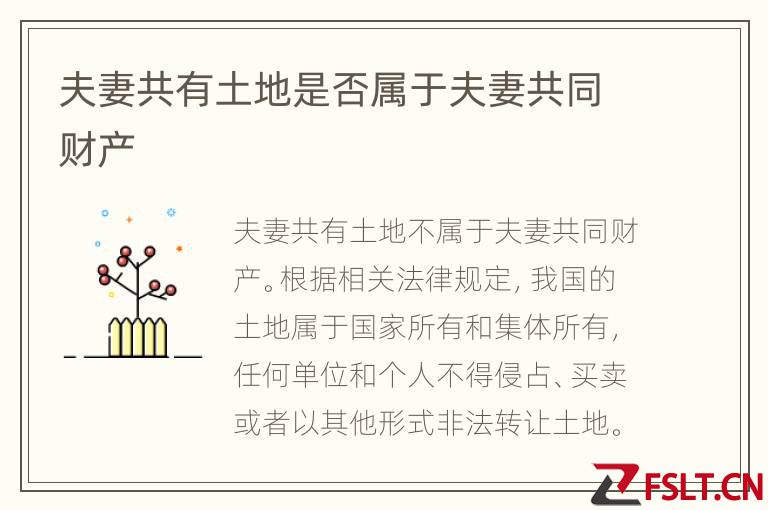 夫妻共有土地是否属于夫妻共同财产