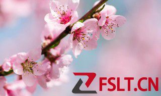 关于桃花的古诗 关于桃花的古诗及译文