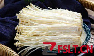 金针菇的热量 金针菇的热量是多少
