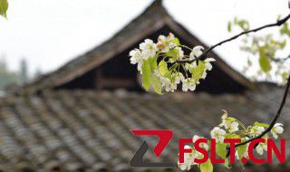 清明节吃什么好 详解清明节该吃什么食物