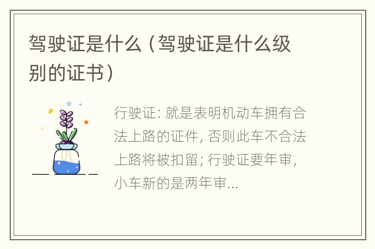 驾驶证是什么（驾驶证是什么级别的证书）