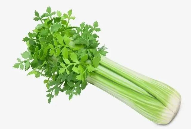 3万元买把“芹菜”，奢侈品牌秋冬新品引热议！网友：还是假的？